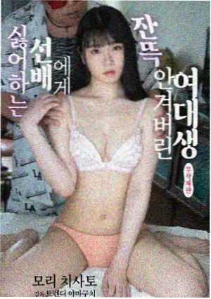 旧唱片店连载TXT封面